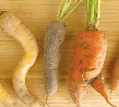 Seasoned supports ‘wonky’ vegetables to cut food waste