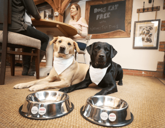 Free meals for dogs at Red Mist Leisure pubs