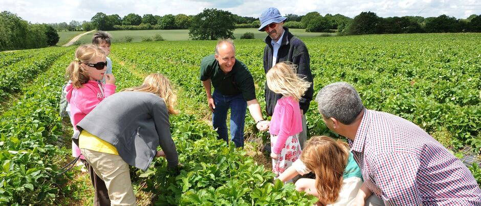 Sainsbury’s teams up with local farmers to celebrate Open Farm Sunday