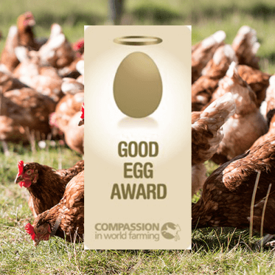 Casual Dining Group scoops Good Egg Award