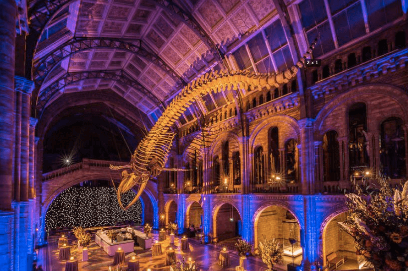 Payne & Gunter retains catering accreditation at Natural History Museum