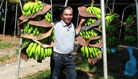 Co-op further pioneers Fairtrade with unique ingredients policy