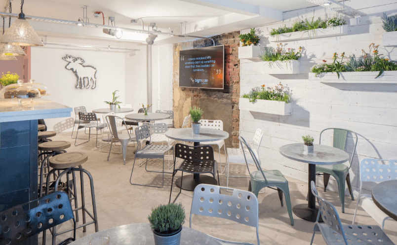 Big Moose Coffee Co launches in Cardiff