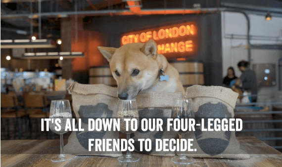 BrewDog launches largest stand-alone bar with world’s first dog-designed beer