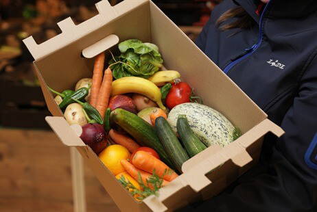 Lidl trials scheme to reduce fruit & veg waste