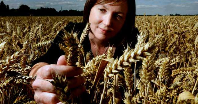 Sainsburys continues to drive its commitment to cut food waste