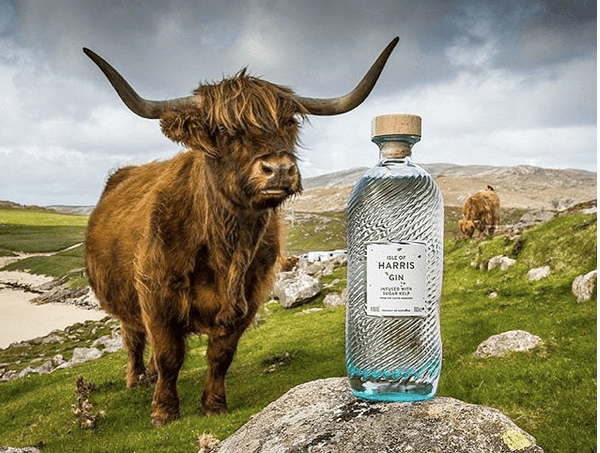 Isle of Harris Gin comes out on top again with consumers